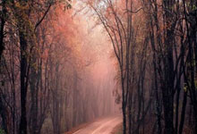 开云体育平台APP-巴萨爆冷惨败！意大利铁骑夜袭诺坎普，欧冠格局一夜颠覆