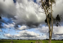 开云体育直播-葡萄牙力克英格兰3:4，内马尔帽子戏法美洲杯——一场关于信念与狂热的虚构赛事软文