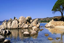 开云体育中国-世界网球队力克德国网球队，瓦林卡打破历史纪录